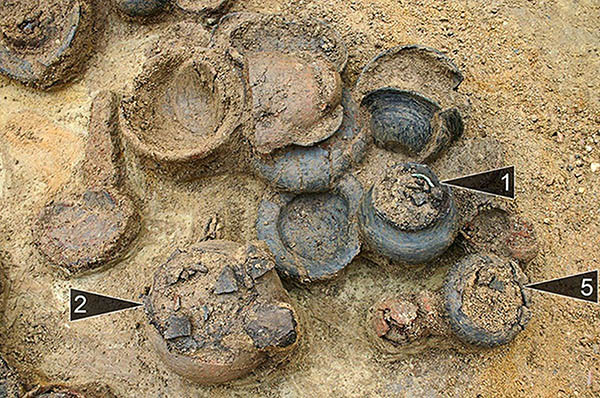 کشف گردنبند سوسکی ۲۵۰۰ ساله