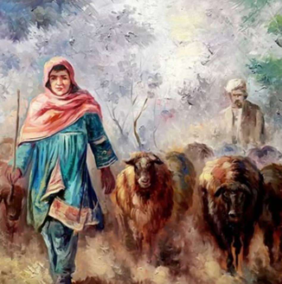 احساس دریده شدن یک چوپان